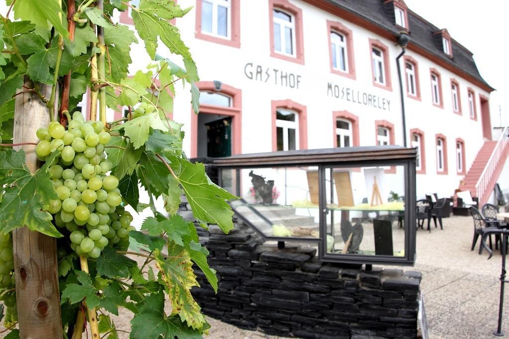 Hotel- Weingut- Moselloreley Писпорт Екстериор снимка