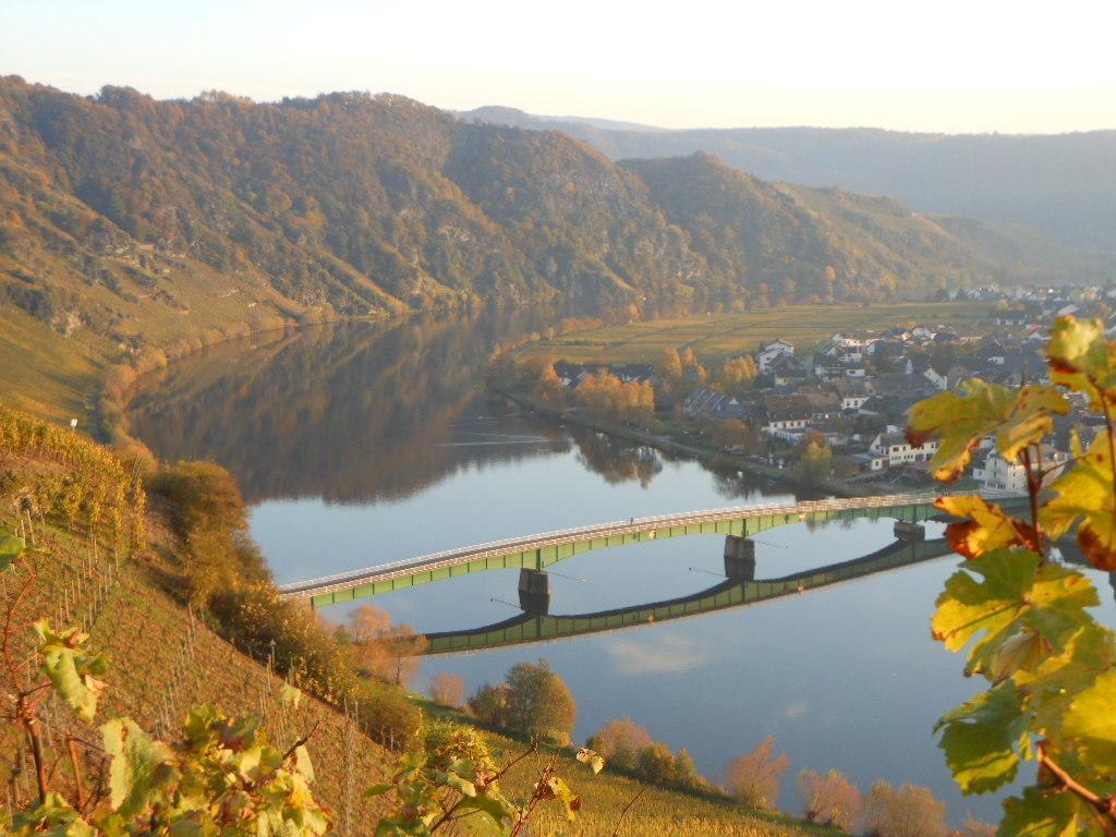 Hotel- Weingut- Moselloreley Писпорт Екстериор снимка