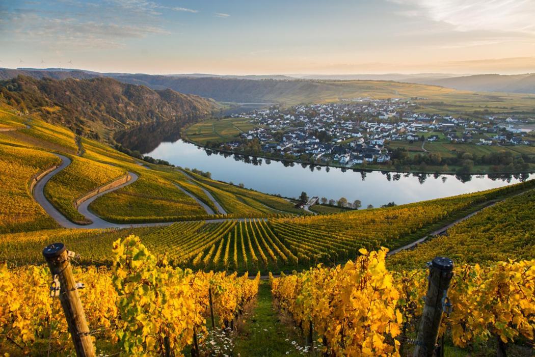 Hotel- Weingut- Moselloreley Писпорт Екстериор снимка